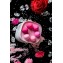 Набор из 6 розовых вагинальных шариков Eromantica K-ROSE (цвет -розовый) (104613) фото 5